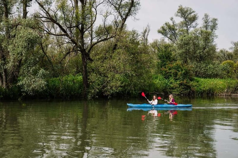 Biesbosch: Kayak Rental with Route Map and Life Jacket - Choosing your route: follow the map or make your own plan
