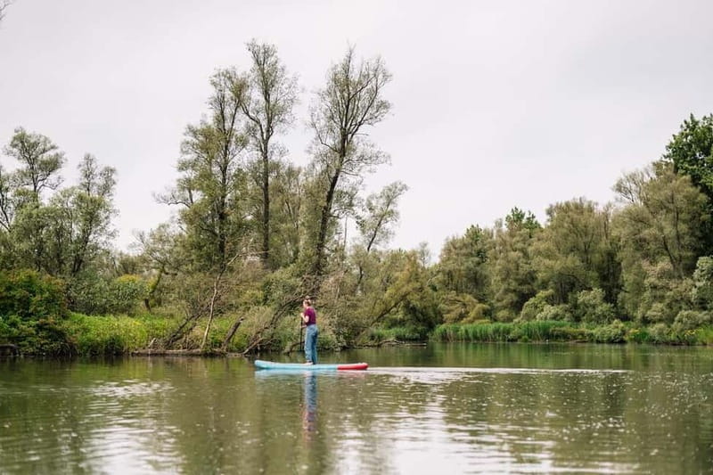 Biesbosch: SUP Board Rental - SUP on the Biesbosch creeks: why this feels different