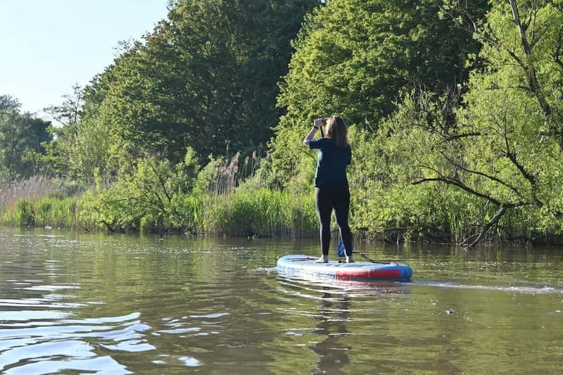 Biesbosch: SUP Board Rental - Starting at Hostel Stayokay: jetty access that saves time