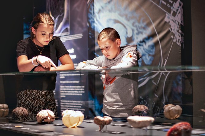 Body Worlds Amsterdam Admission Ticket - Body Worlds Amsterdam ticket basics, time, and what’s included