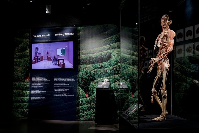Body Worlds Amsterdam Admission Ticket - Kids, teens, and seniors: who this fits best