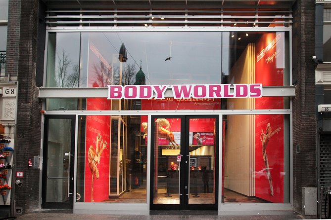 Body Worlds Amsterdam Admission Ticket - Price and value: is $27.21 worth your time?
