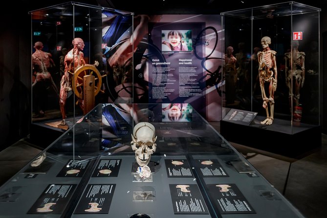 Body Worlds Amsterdam Admission Ticket - Real human specimens and cross sections you can’t unsee