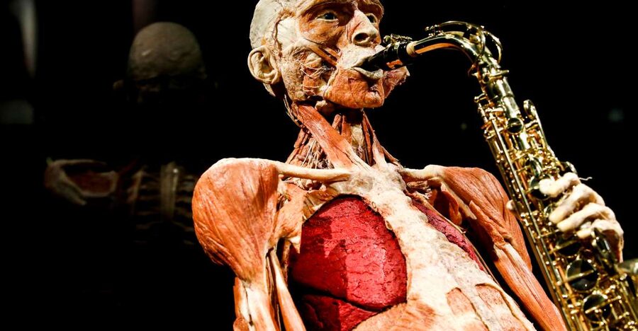 Body Worlds Amsterdam: The Happiness Project Ticket - Key points before you go