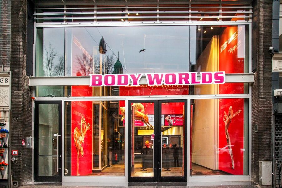 Body Worlds Amsterdam: The Happiness Project Ticket - The free InBody Scan, turning museum science into personal context