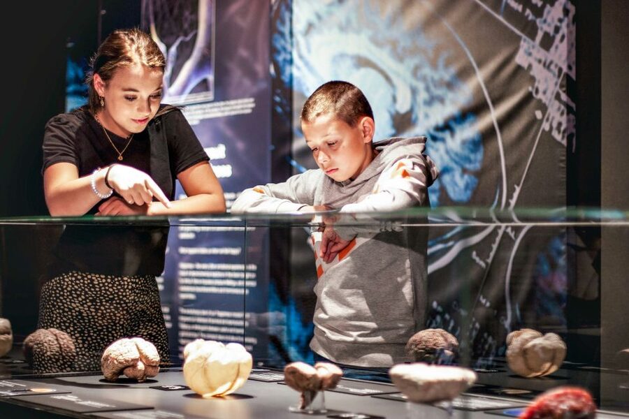 Body Worlds Amsterdam: The Happiness Project Ticket - Practical tips for a smoother visit