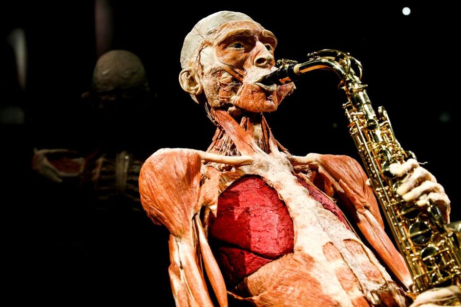 Body Worlds Amsterdam: The Happiness Project Ticket - What you’ll see inside, and why the happiness theme matters