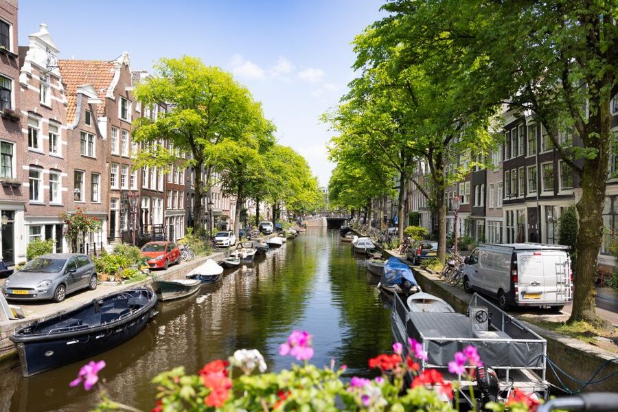 Boutique Dutch Food & History Tour with up to 8 guests only - Practical tips so you enjoy every stop (and do not get stuffed too early)