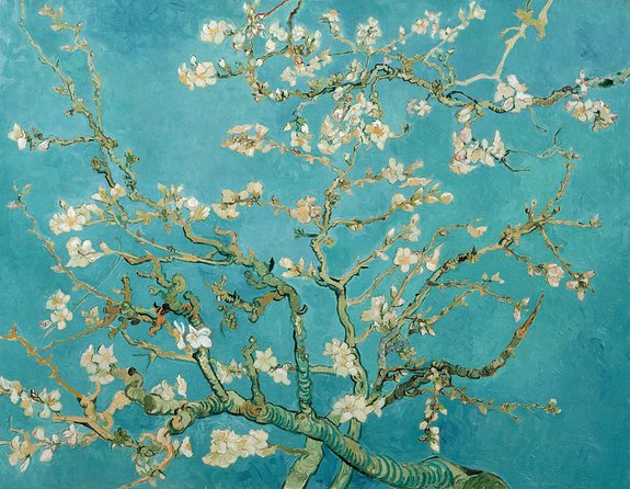 Combo Ticket: Van Gogh Museum Ticket and 1-Hour Canal Cruise - The Timed Slot Advantage, and the One Thing to Guard Against