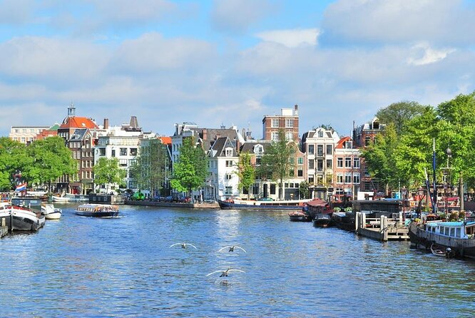 Countryside Bike Tour from Amsterdam: Cheese, Clogs & a Windmill - Key highlights to look for