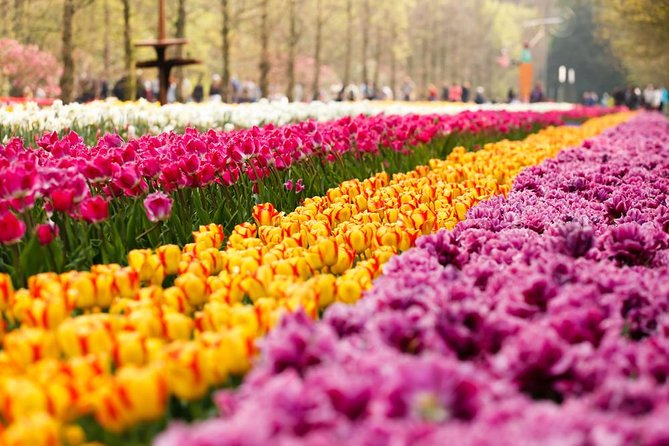 Day Trip to Keukenhof Gardens from Amsterdam with Tour Guide - Getting to Keukenhof: comfort, timing, and the meeting point reality check