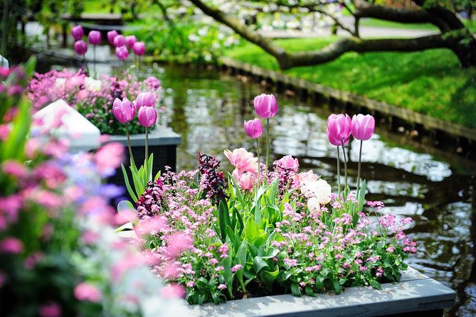 Day Trip to Keukenhof Gardens from Amsterdam with Tour Guide - The guide piece: what’s included, and where it can go right or wrong