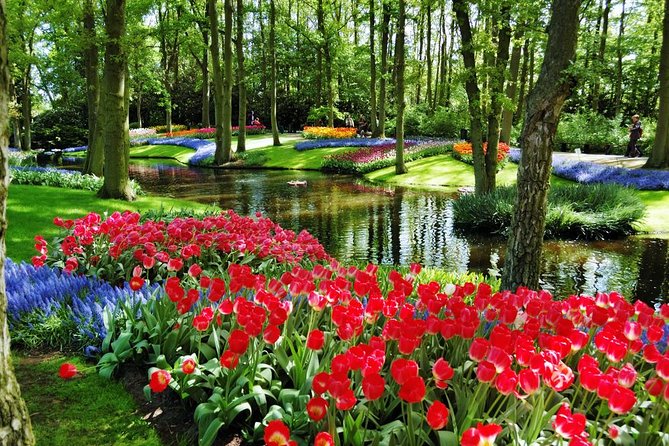 Day Trip to Keukenhof Gardens from Amsterdam with Tour Guide - Group size, comfort, and why this tour can feel worth it