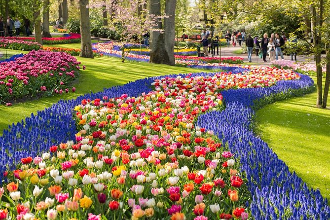 Day Trip to Keukenhof Gardens from Amsterdam with Tour Guide - The park intro: Oranje Nassau and the tulip origin story