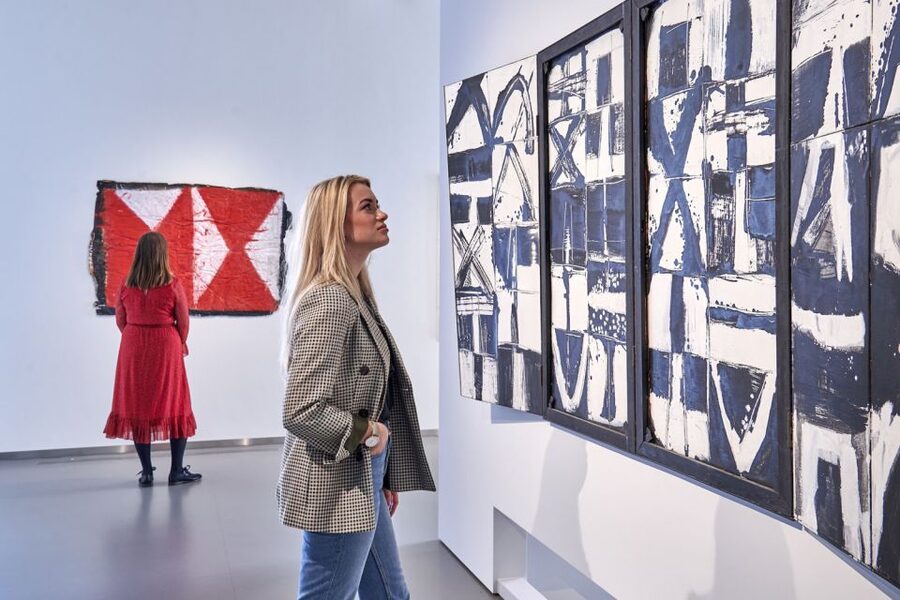 Den Bosch: Het Noordbrabants Museum Entry Ticket - Price and value for a $20 ticket
