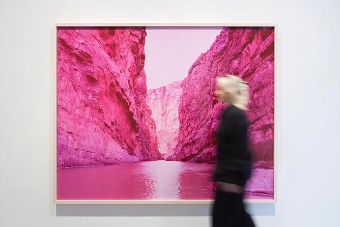 Discover Amsterdam's top Art Galleries - Who This Tour Suits Best
