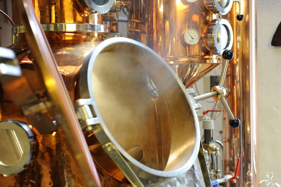 Dordrecht: Distillery Tour with Dutch Gin & Genever Tasting - Price and what you get for $11 per person