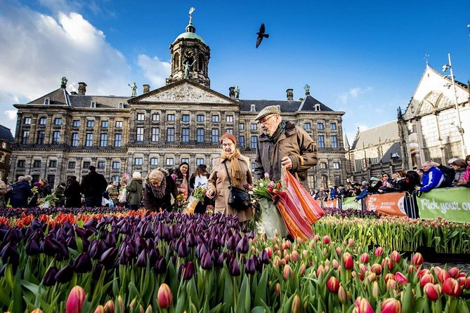 e-Scavenger hunt Amsterdam: Explore the city at your own pace - Smartphone setup: what you need on the day