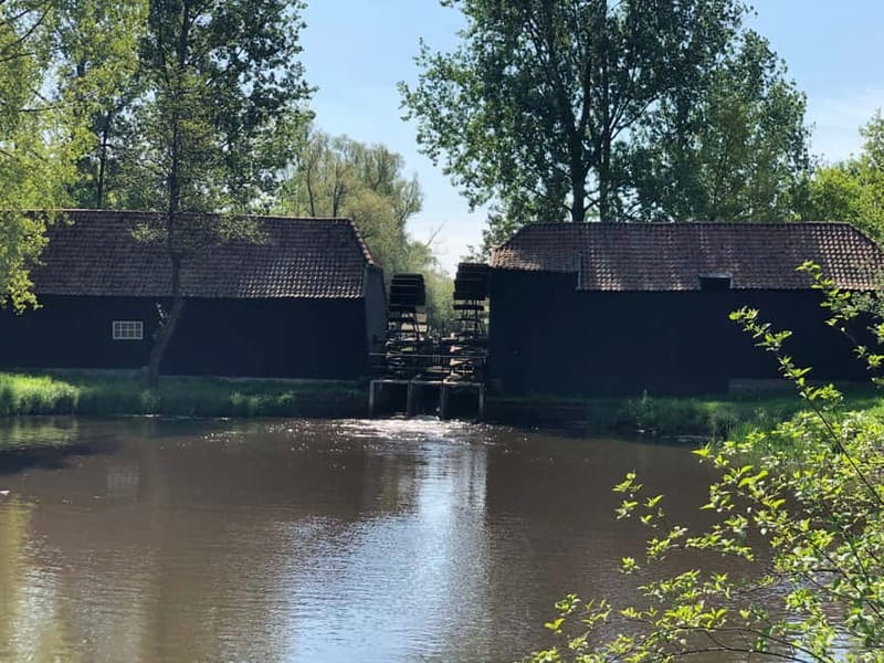 Eindhoven: E-Fatbike Tour The Footsteps Of Vincent van Gogh - Who this tour suits best, and who should skip it