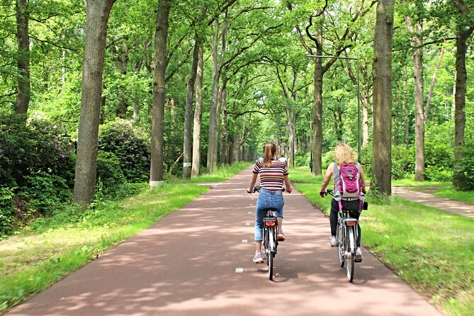 Eindhoven: Guided bicycle tour of the Highlights of Eindhoven - Gasfabriek and DOMUSDELA: Start With Eindhoven’s Industrial Roots