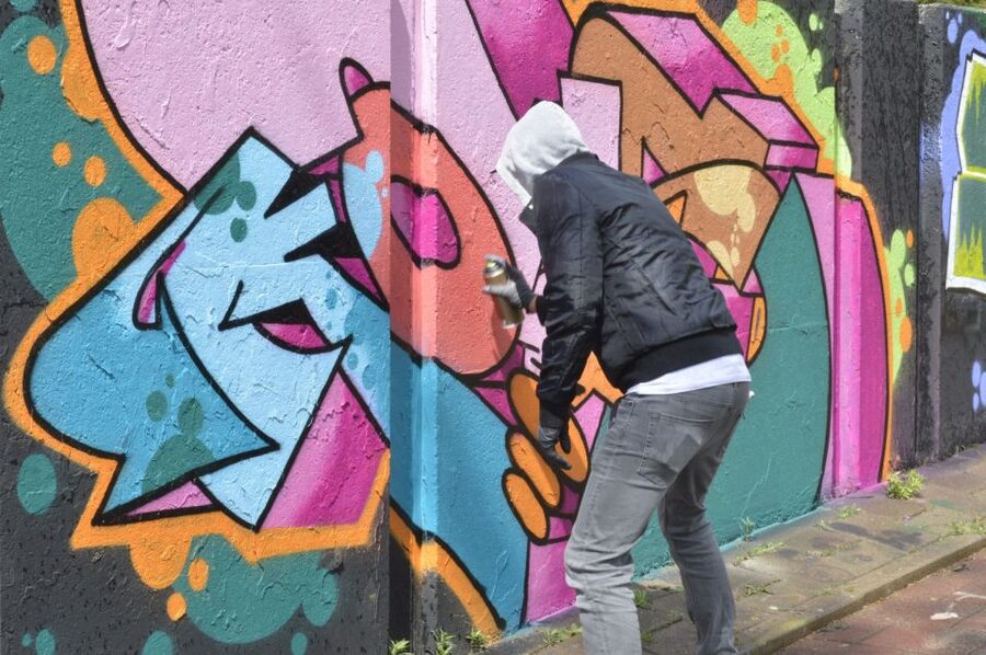 Eindhoven: Self-Guided Individual Street Art Tour - Price and value, or what $29 per group really buys