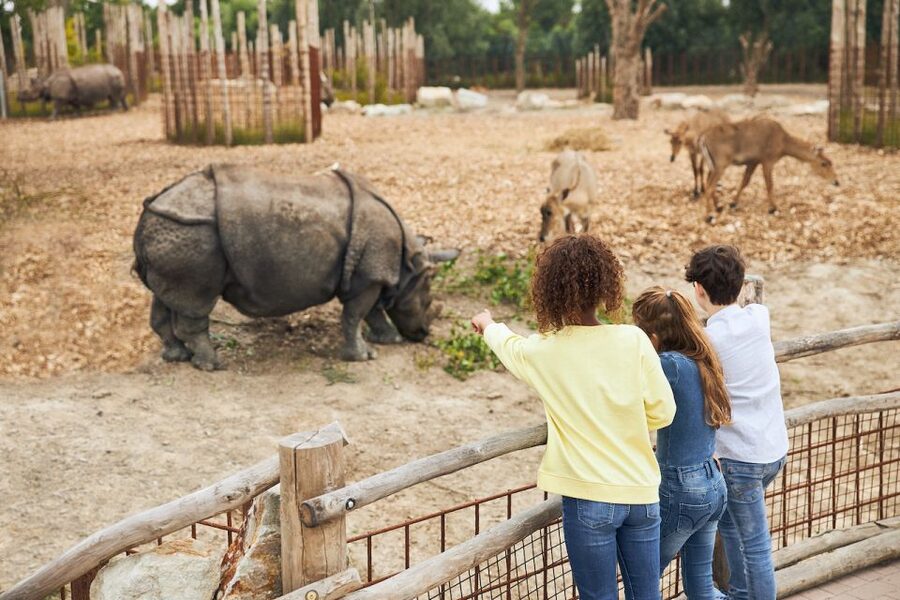 Eindhoven Zoo Entry Ticket - Key Points Before You Go