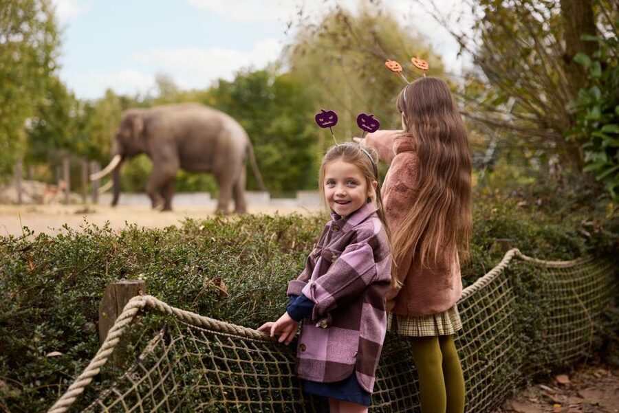 Eindhoven Zoo Entry Ticket - What to Bring for a Smooth Day