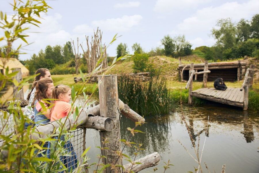 Eindhoven Zoo Entry Ticket - Rhinos, Elephants, and the Bigger Animals Day Out