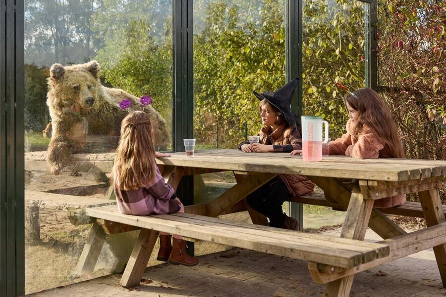 Eindhoven Zoo Entry Ticket - Birds Are the Real Main Event: 400 Species You Can Hear