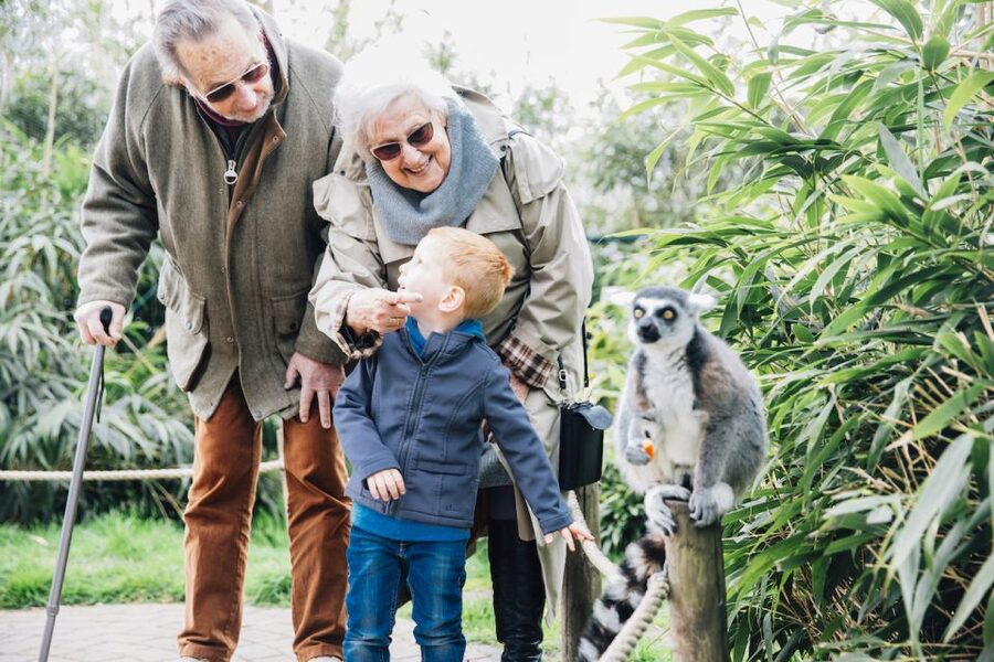 Eindhoven Zoo Entry Ticket - Indoor and Outdoor Playgrounds: The Secret Weapon for Families