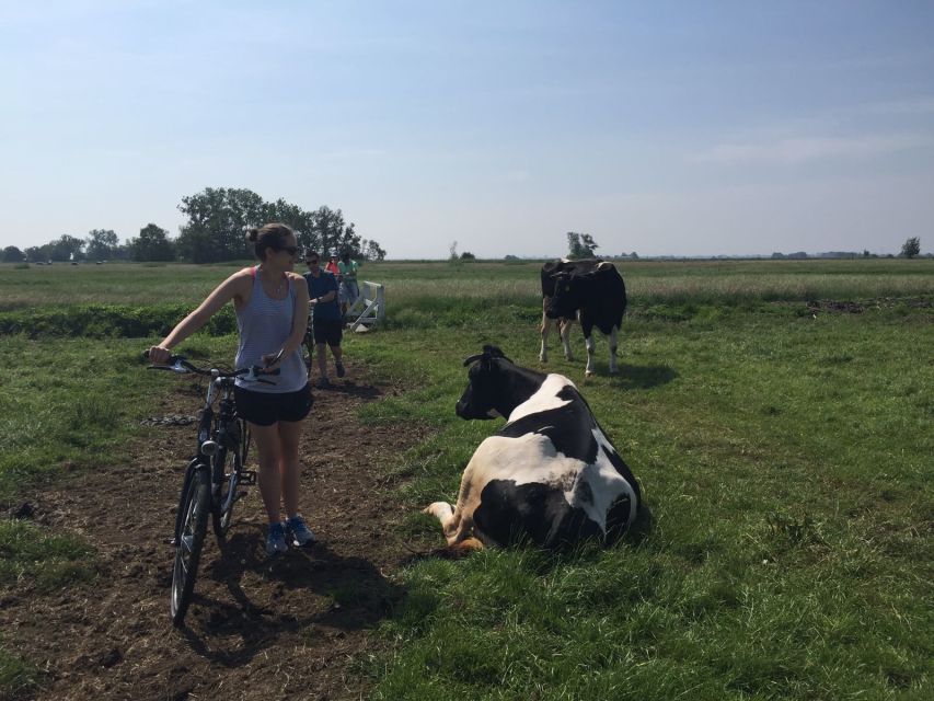 From Amsterdam: Countryside Bike Tour - Pedaling the flat route, what the ride feels like in real life