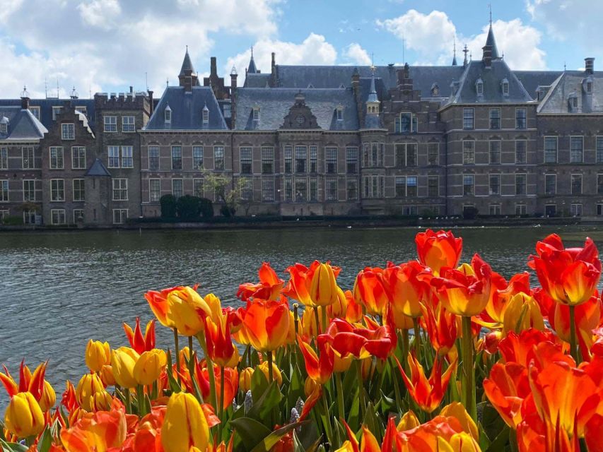 From Amsterdam: Guided Trip to Rotterdam, Delft & The Hague - The Hague guided tour: Peace Palace outside, Binnenhof inside the story