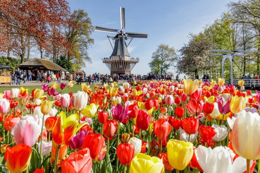 From Amsterdam: Keukenhof and Dutch Countryside Tour - Volendam: fishing-village charm, cheese tasting, and local eats
