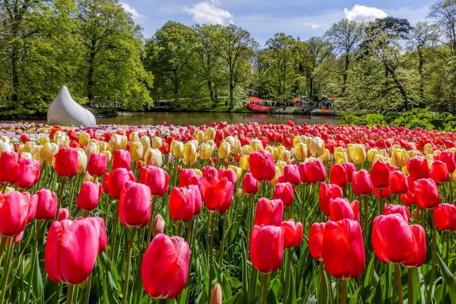 From Amsterdam: Keukenhof and Dutch Countryside Tour - Meeting point at De Ruijterkade, and how the day starts