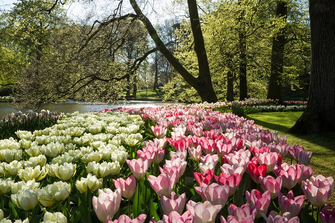 From Amsterdam: Keukenhof Gardens Ticket and Transfer - Timing, bus comfort, and the key return-day details