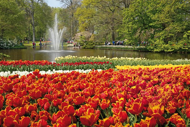 From Amsterdam: Keukenhof Gardens Ticket and Transfer - Price and value: what you get for about $41.51