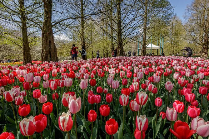 From Amsterdam: Keukenhof Gardens Ticket and Transfer - Should you book this Keukenhof ticket and transfer?
