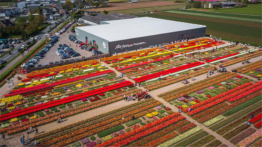 From Amsterdam: Keukenhof Gardens & Tulip Experience Tour - Value check: is $94 a good deal for this day?