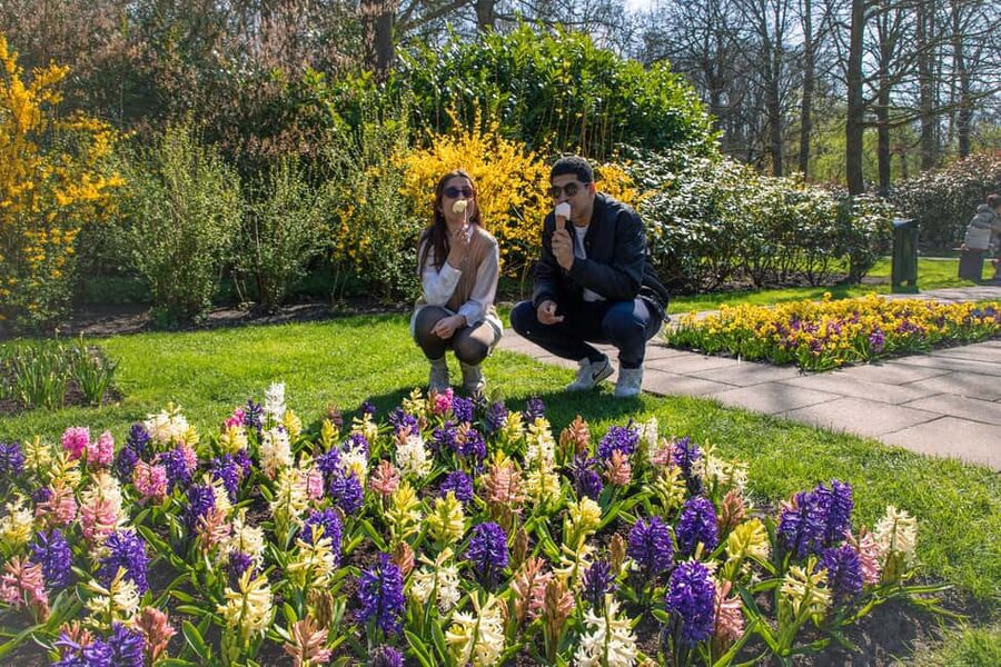 From Amsterdam: Keukenhof Ticket with Transfer - Price and value: what you are really paying for