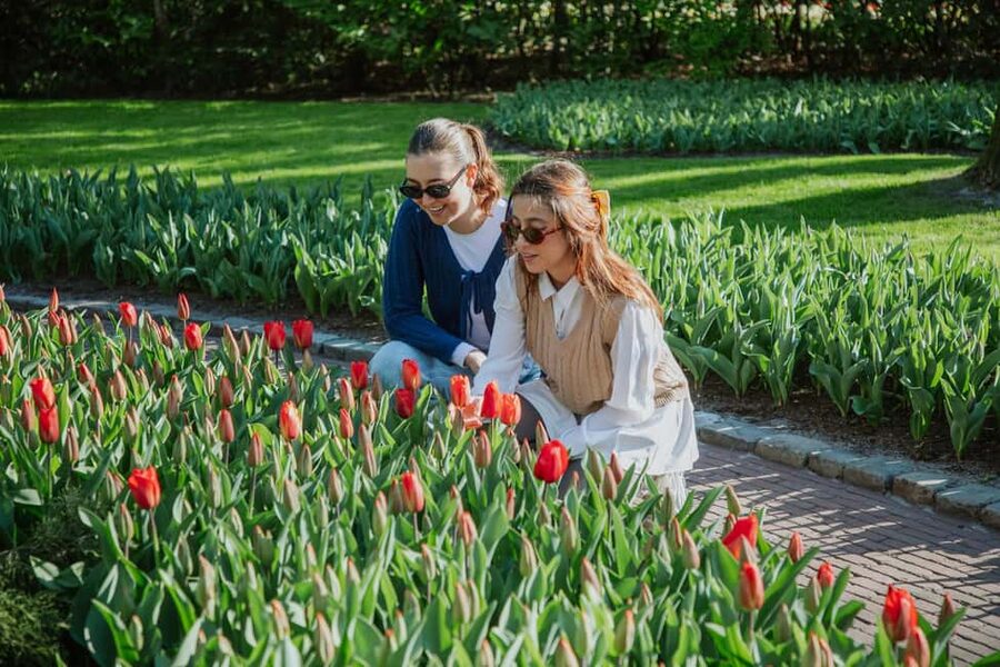 From Amsterdam: Keukenhof Ticket with Transfer - Practical tips for a smoother Keukenhof visit