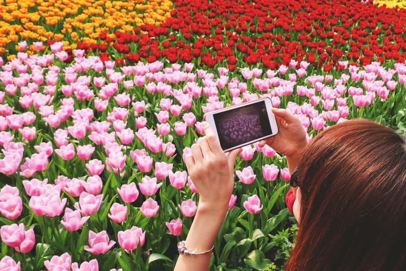 From Amsterdam: Keukenhof Tulips, Windmills & Volendam - Getting to Keukenhof Early: 7 Million Blooms and Real Time to Wander