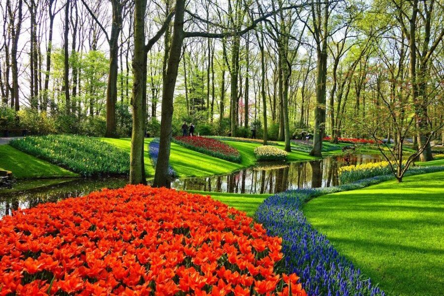 From Amsterdam: Private Keukenhof and Tulip Experience Tour - Price and value: what $371 per person buys you