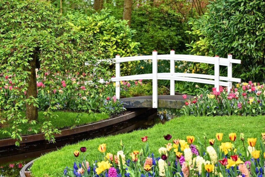 From Amsterdam: Private Keukenhof and Tulip Experience Tour - Keukenhof in Lisse: 32 hectares of spring chaos (in the best way)