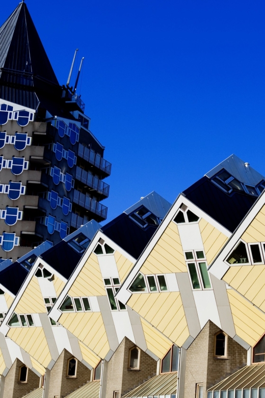From Amsterdam: Rotterdam and The Hague Tour in Spanish - Key highlights at a glance