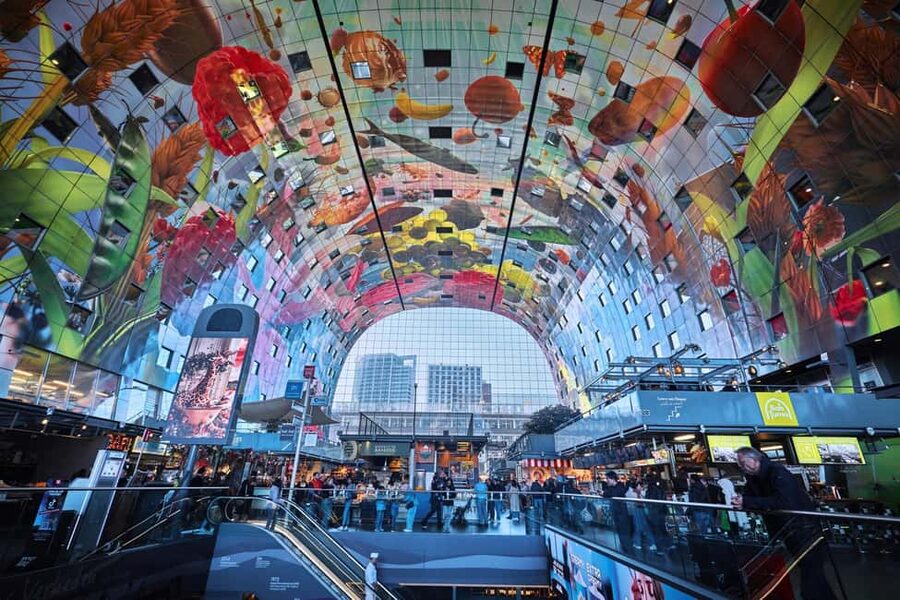 From Amsterdam: Rotterdam, Delft & The Hague Guided Day Tour - Who should book this tour, and who should not