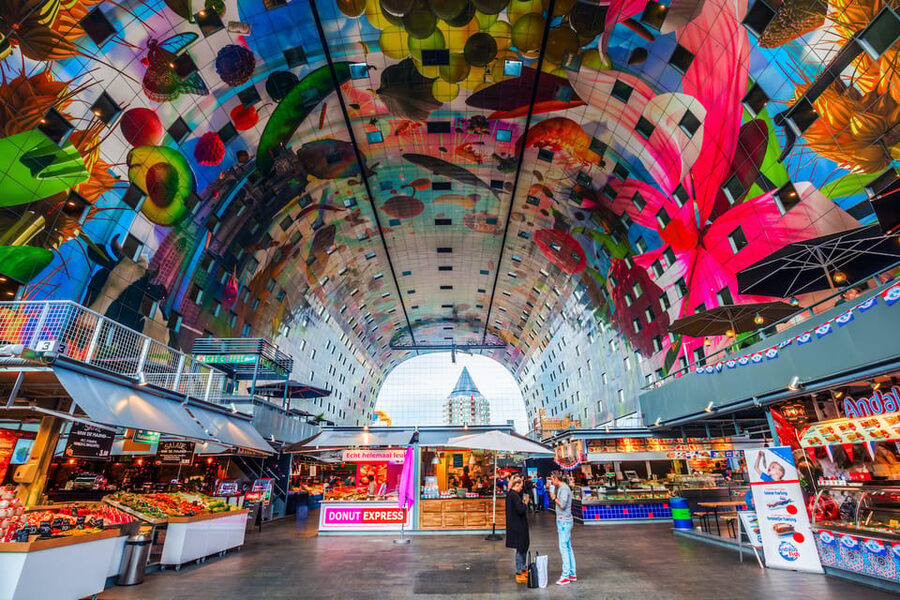 From Amsterdam: Rotterdam, The Hague & Delft Private Tour - Who This Tour Suits Best (And Who Might Want Something Else)