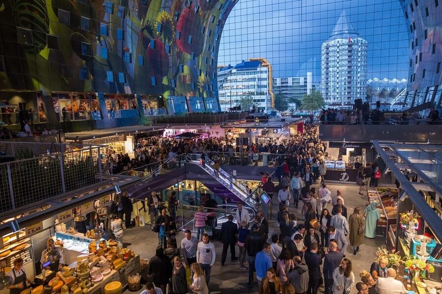 From Amsterdam: Rotterdam to The Hague and Delft - Oude Haven waterfront time, plus a real-world coffee break