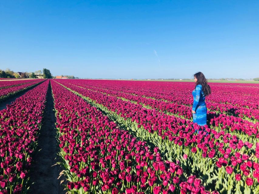 From Amsterdam: Small Group Keukenhof & City Tour Delft - Key highlights worth planning for