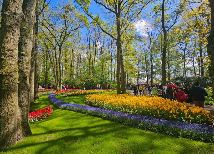 From Amsterdam: Small Group Keukenhof & City Tour Delft - Should you book it?