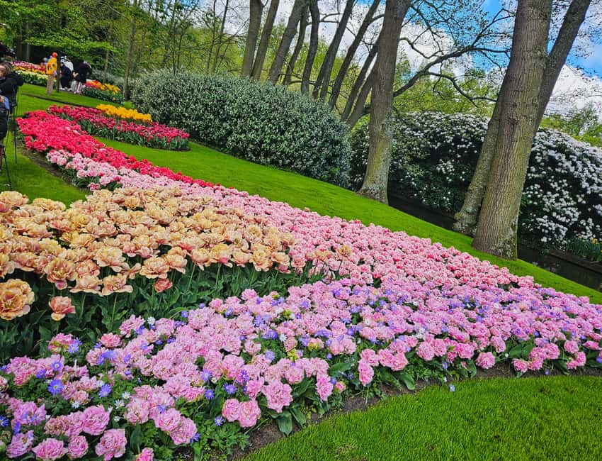 From Amsterdam: Small Group Keukenhof & City Tour Delft - Royal Delft vs the included Delft Blue workshop: what you might actually get